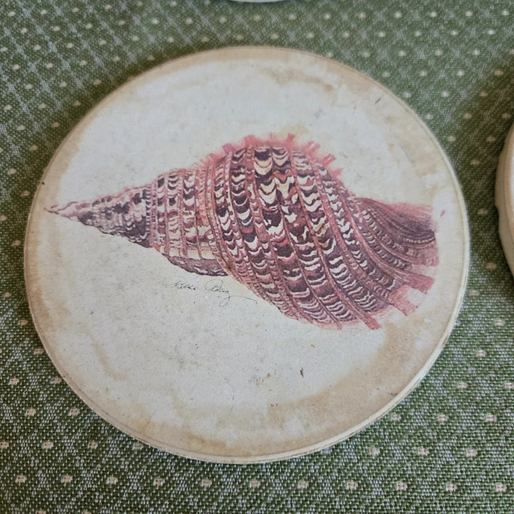 Stone Seashell Design Coasters With Cork Backing - Set of 4